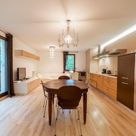 Appartamento Promenade Furnished Flat Annecy Esterno foto